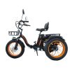 kugoo kirin trike