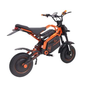Kugoo Kirin R2